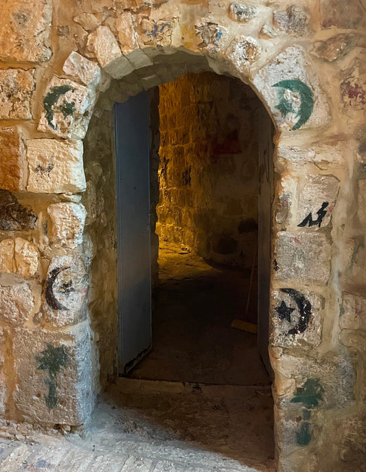 going gently into the winter solstice good night🌙