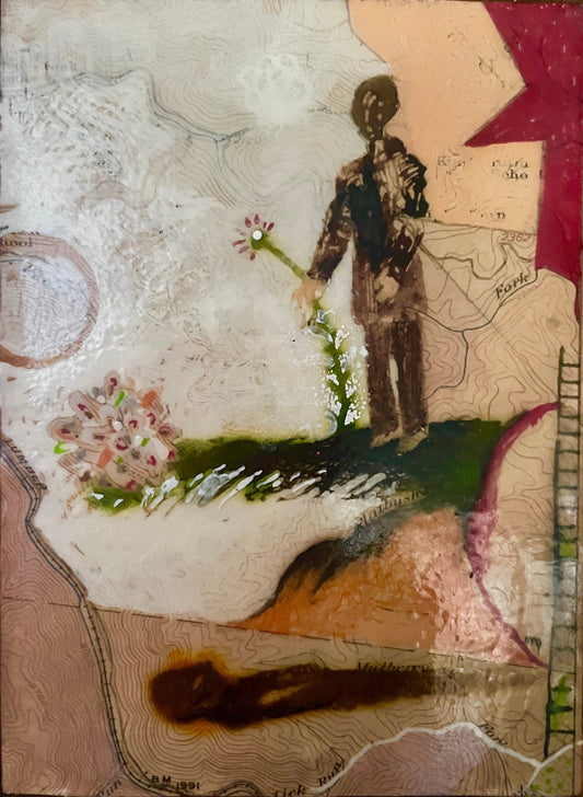 curiosity, beauty and our connection to freedom⛓