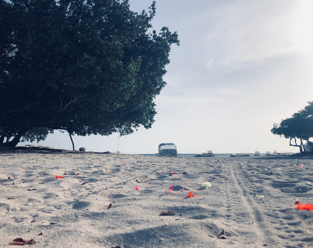 What time is it?⏰ Quiet time...