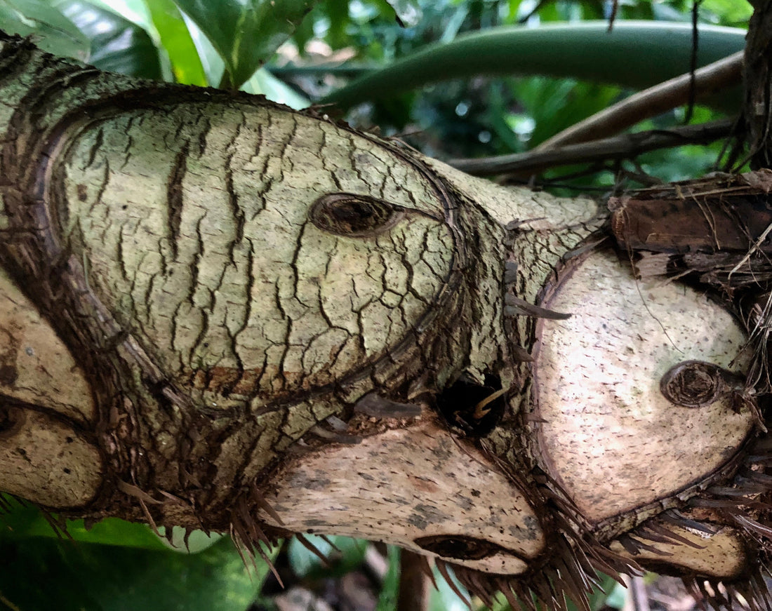 winter skincare goes beyond surface protection...